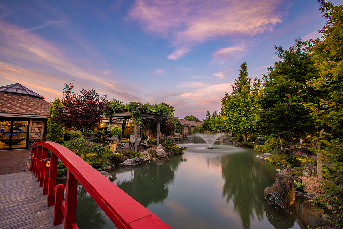 bridge-on-pond-view